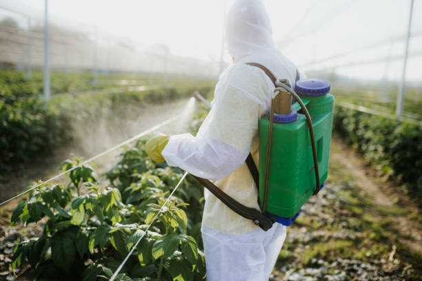 Best Affordable Pest Control Services  in Riverview, DE